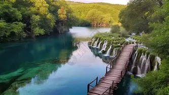 樊振东末曾一心留队球迷热议的简单介绍